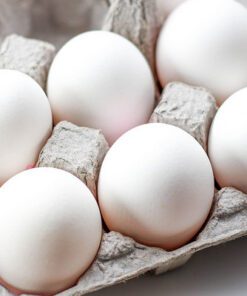 Huevo blanco (500 grs)